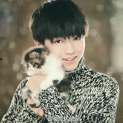 爱豆爆料王俊凯视频下载,爱豆爆料背后的精彩瞬间  第2张